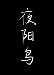 夜阳鸟番外txt百度网盘